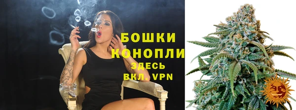 ПСИЛОЦИБИНОВЫЕ ГРИБЫ Заволжье